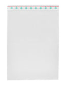 SONDERPOSTEN - Druckverschlussbeutel 350 x 250 mm - 200 Stück